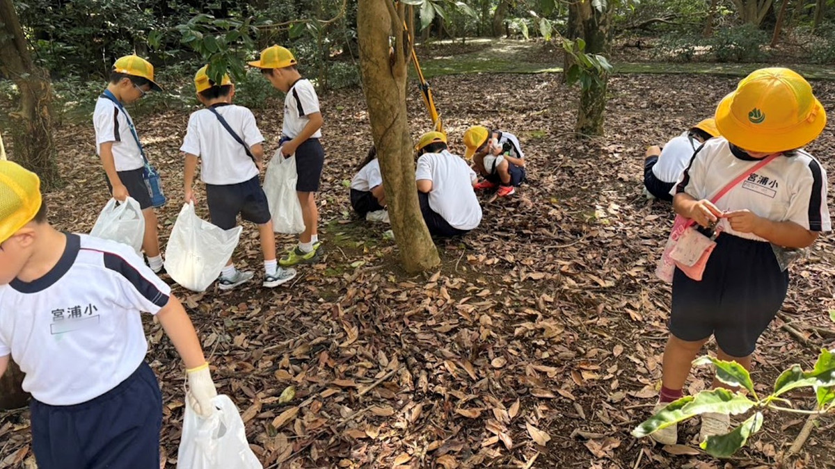 Microsoft_powerpoint